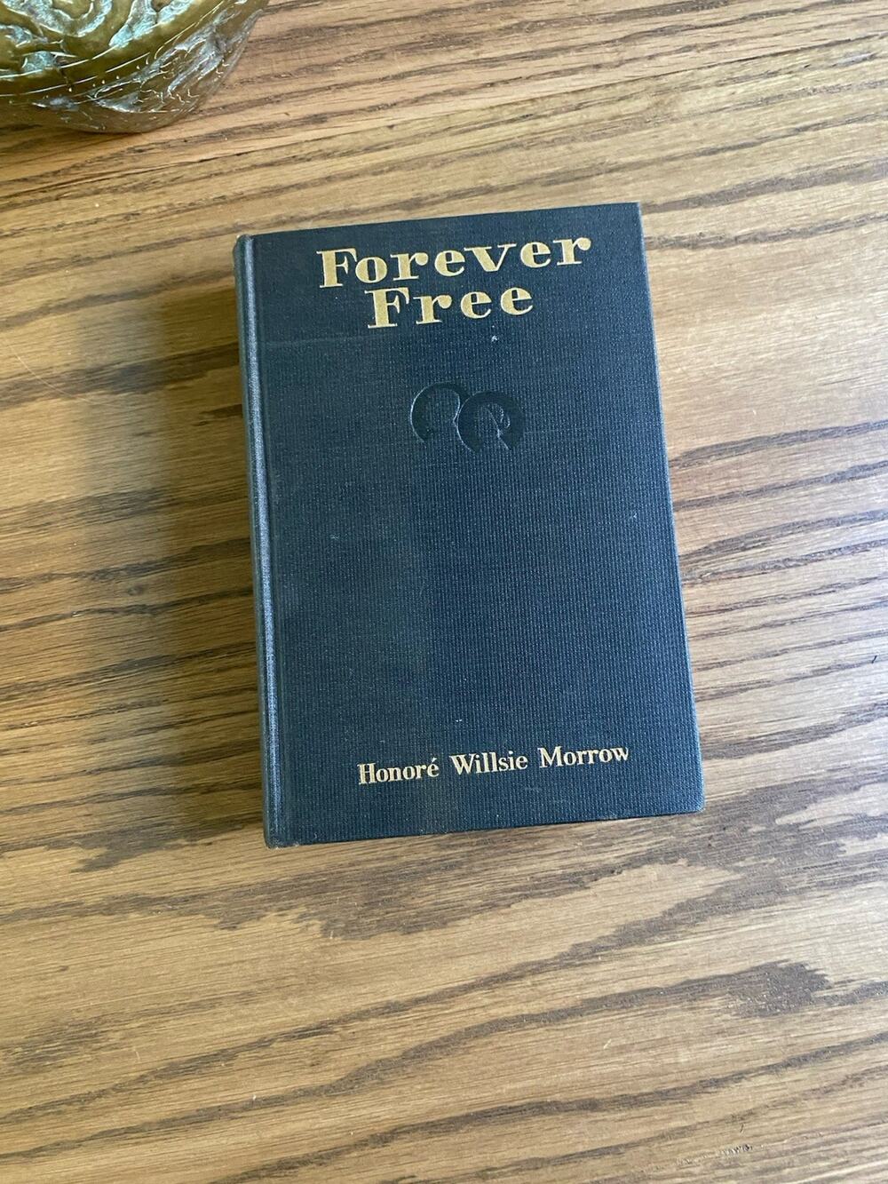 Vintage 1927 ‘Forever Free’ Abraham Lincoln Hardcover By Honore Willsie Morrow